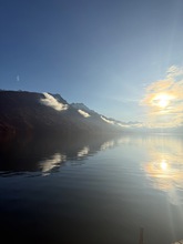 IMG_1220.jpg